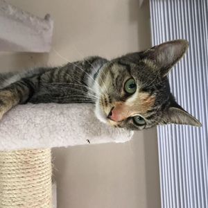 Meet your Posher, Kristine